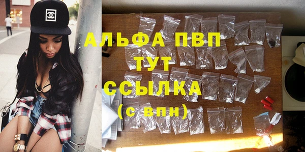 стаф Медвежьегорск