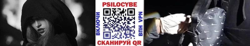 Псилоцибиновые грибы Psilocybine cubensis  Новошахтинск 