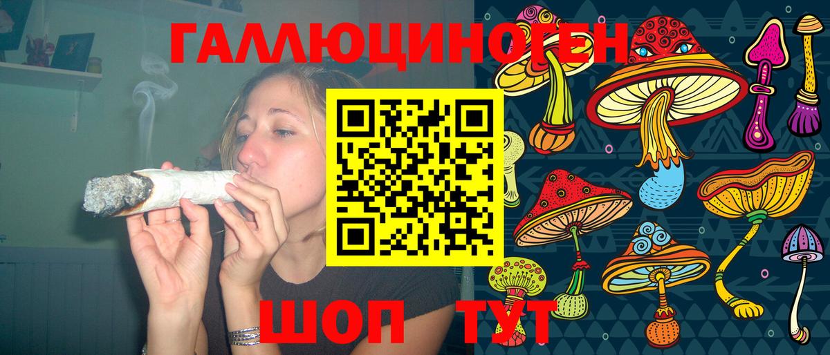 Новошахтинск  Псилоцибиновые грибы MAGIC MUSHROOMS  Вход с VPN 